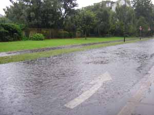 Flood_2_300.jpg