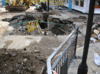 Water-Hole.gif
