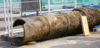 Water-Pipe.gif